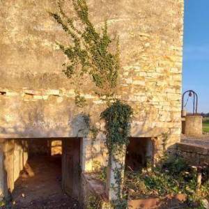 Galižana – kamena kuća s građevinskim zemljištem i šternom