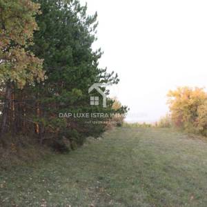 Gologorica Poljoprivredno zemljište s panoramskim pogledom