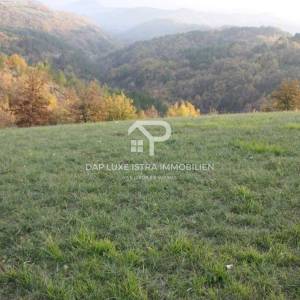 Gologorica Poljoprivredno zemljište s panoramskim pogledom