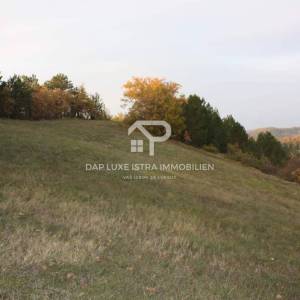 Gologorica Poljoprivredno zemljište s panoramskim pogledom