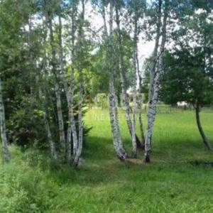 Gorski kotar, Kupjak, zemljište 6.111m2 - građevinsko + poljoprivredno