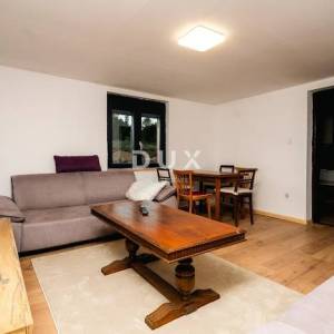 GORSKI KOTAR, MRKOPALJ - novoadaptirana goranska kuća s velikom okućnicom