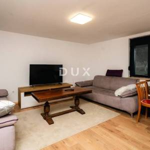 GORSKI KOTAR, MRKOPALJ - novoadaptirana goranska kuća s velikom okućnicom