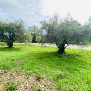 Građevinska parcela, blizina Krnice!