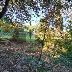 GRAĐEVINSKO ZEMLJIŠTE 1. RED DO MORA - MOLUNAT - CIJENA NA UPIT