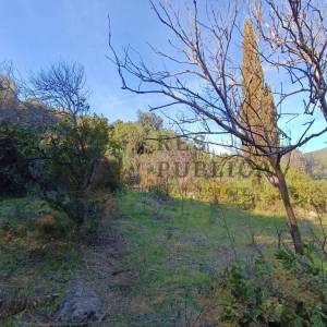 GRAĐEVINSKO ZEMLJIŠTE 1. RED DO MORA - MOLUNAT - CIJENA NA UPIT