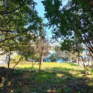 GRAĐEVINSKO ZEMLJIŠTE 1. RED DO MORA - MOLUNAT - CIJENA NA UPIT