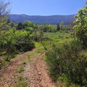 GRAĐEVINSKO ZEMLJIŠTE NA PELJEŠCU