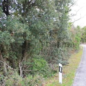 GRAĐEVINSKO ZEMLJIŠTE NA PELJEŠCU - PIJAVIČINO