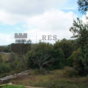 GRAĐEVINSKO ZEMLJIŠTE NA PELJEŠCU - PIJAVIČINO