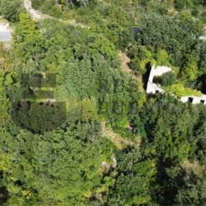 GRAĐEVINSKO ZEMLJIŠTE NA PELJEŠCU - PIJAVIČINO