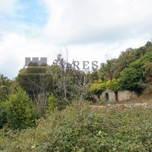 GRAĐEVINSKO ZEMLJIŠTE NA PELJEŠCU - PIJAVIČINO