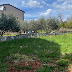 Građevinsko Zemljište  s Pravomoćnom Građevinskom Dozvolom, Kaštelir- Labinci