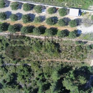 GRAĐEVINSKO ZEMLJIŠTE U OREBIĆU - INVESTICIJA!