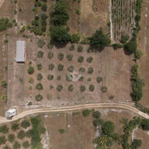 Hrvatska, Zadar, Slivnica – Građevinsko zemljište (3.427 m²) s maslinikom, idealno za kuću za odmor u mirnoj lokaciji