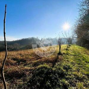 Hrvatska, Zelina, građevinsko-poljoprivredno zemjište  16000 m2 sa predivnim pogledom