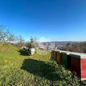 Hrvatska, Zelina, građevinsko-poljoprivredno zemjište  16000 m2 sa predivnim pogledom