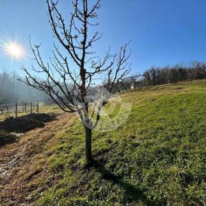 Hrvatska, Zelina, građevinsko-poljoprivredno zemjište  16000 m2 sa predivnim pogledom