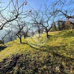 Hrvatska, Zelina, građevinsko-poljoprivredno zemjište  16000 m2 sa predivnim pogledom