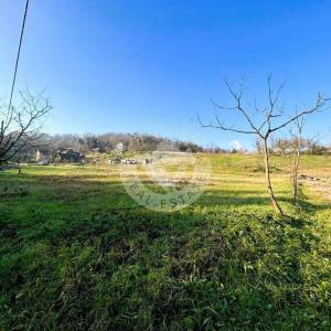 Hrvatska, Zelina, građevinsko-poljoprivredno zemjište  16000 m2 sa predivnim pogledom