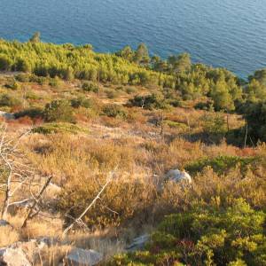 Hvar, građevinsko - turističko