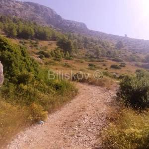 Hvar, Ivan Dolac poljopr. zemljište 5150 m2, panoramski pogled na more