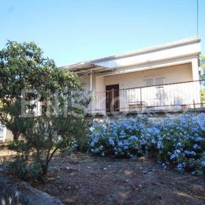 Hvar, Vrboska, manja kuća 50m od mora