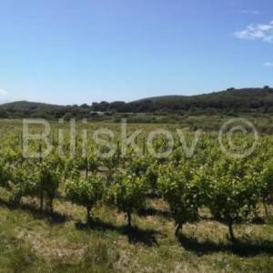 Hvar,Pakleni otoci,poljoprivredno zemljiste