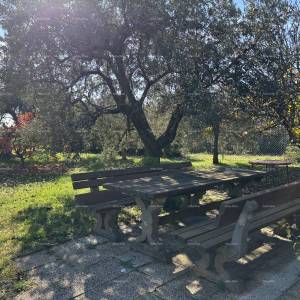 Idilična vikendica blizu mora – savršeno mjesto za bijeg od gradske gužve! Peroj, Fažana!