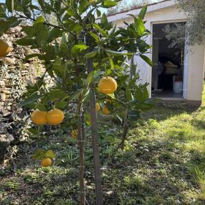 Idilična vikendica blizu mora – savršeno mjesto za bijeg od gradske gužve! Peroj, Fažana!