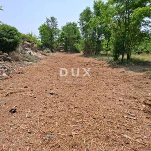 ISTRA, BALE – građevinsko zemljište od 7.800 m² s trima kamenim kućama i iznimnim potencijalom