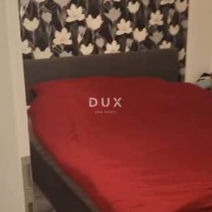 ISTRA, BALE - Prizemnica s velikim dvorištem