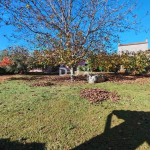 ISTRA, BALE - Prostrana vila s bazenom i dodatnom kamenom kućom za goste 