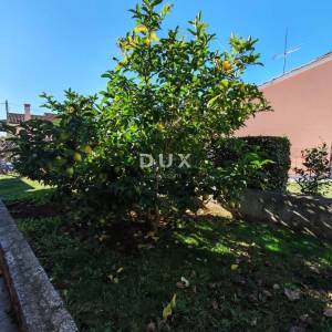 ISTRA, BALE - Prostrana vila s bazenom i dodatnom kamenom kućom za goste 