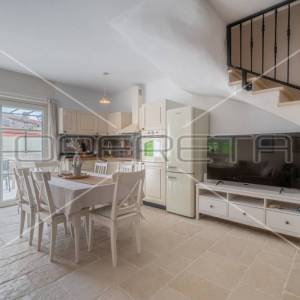 Istra, Barban - okolica, nova kuća u rustikalnom stilu, 2SS, bazen