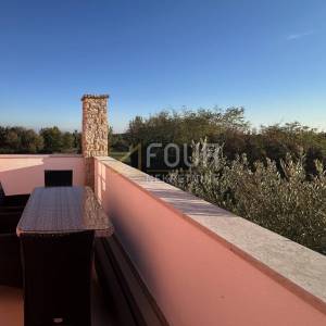 Istra, Barban - okolica, vila s bazenom, okućnica