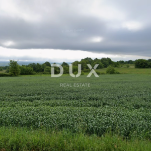 ISTRA, BARBAN Poljoprivredno zemljište pored ruba urbanizacije s pristupnim putem! Odlična prilika!