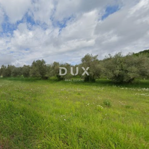 ISTRA, BUZET - Poljoprivredno zemljište uz asfaltiranu cestu