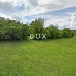 ISTRA, BUZET - Poljoprivredno zemljište uz asfaltiranu cestu