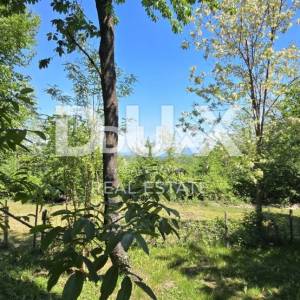 ISTRA, GRAČIŠĆE - Kamp u srcu Istre s bogatom infrastrukturom i dodatnim zemljištem