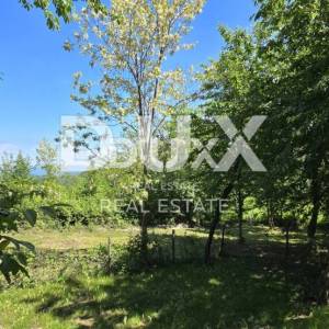 ISTRA, GRAČIŠĆE - Kamp u srcu Istre s bogatom infrastrukturom i dodatnim zemljištem