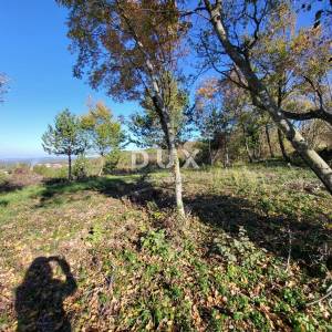 ISTRA, GROŽNJAN - Građevinsko zemljište s otvorenim pogledom na more i okolicu