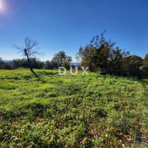 ISTRA, GROŽNJAN - Građevinsko zemljište s otvorenim pogledom na more i okolicu