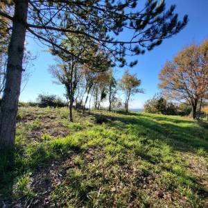 ISTRA, GROŽNJAN - Građevinsko zemljište s otvorenim pogledom na more i okolicu