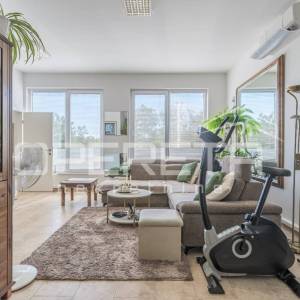 Istra, Karigador okolica – dva stana i poslovni prostor s bazenom i vrtom.