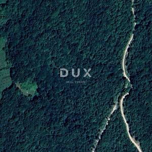 ISTRA, LABIN - Prostrano šumsko zemljište