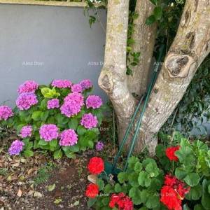 Istra, Ližnjan, 1 km do centra Medulina, nova moderna kuća sa bazenom za odmor.