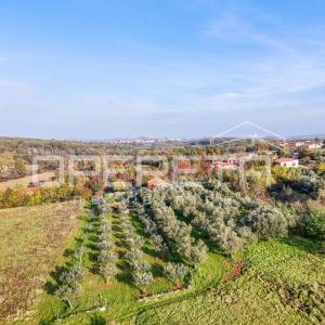 Istra, Lovrečica- građevinsko zemljište 683 m2
