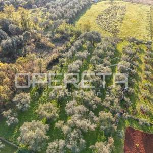 Istra, Lovrečica- građevinsko zemljište 683 m2
