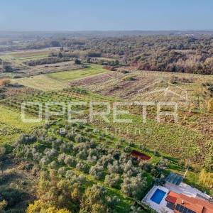 Istra, Lovrečica- građevinsko zemljište 683 m2
